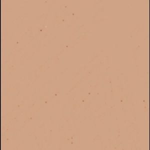 Meet your Posher, Ally